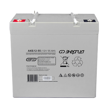 Аккумулятор для ИБП Энергия АКБ 12-55 (тип AGM) - ИБП и АКБ - Аккумуляторы - Магазин электротехнических товаров Проф Ток